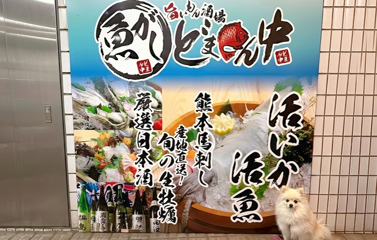 魚がしどまん中 神楽坂店 外観