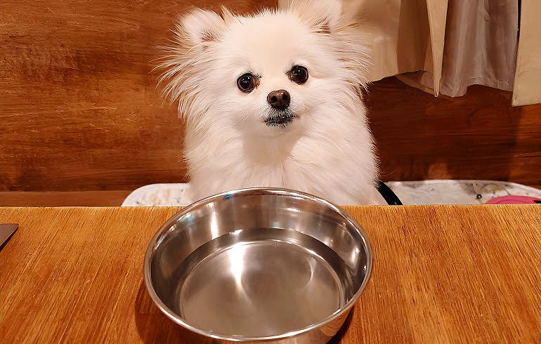 お水サービス