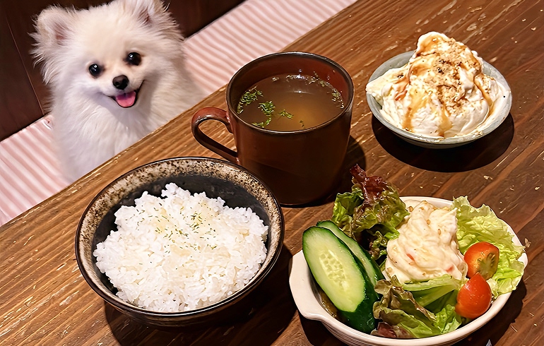 超お得な食べ放題
