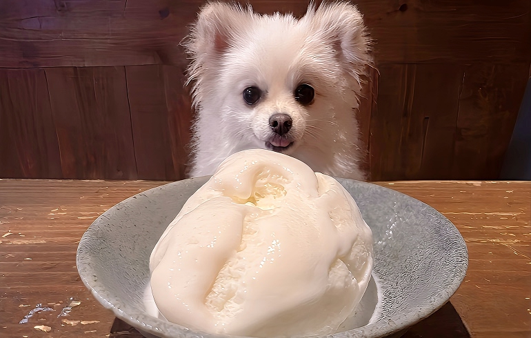 ソフトクリームサービス