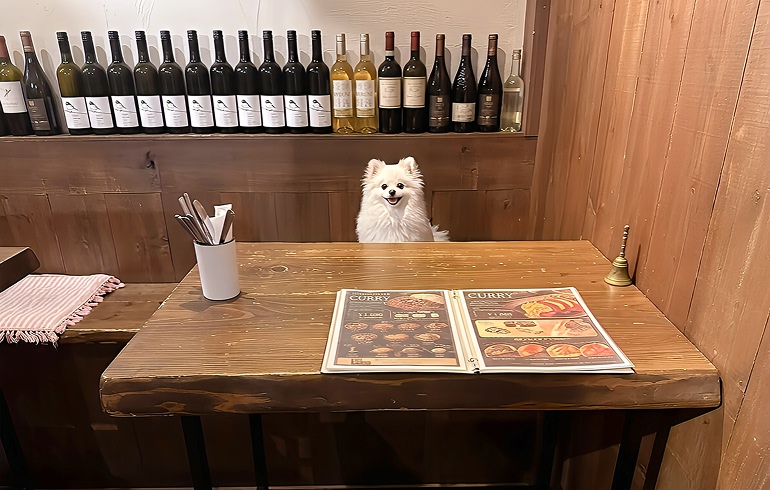 BODEGA 店内