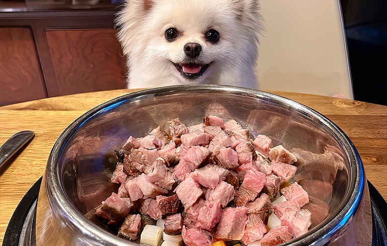 犬用メニュー