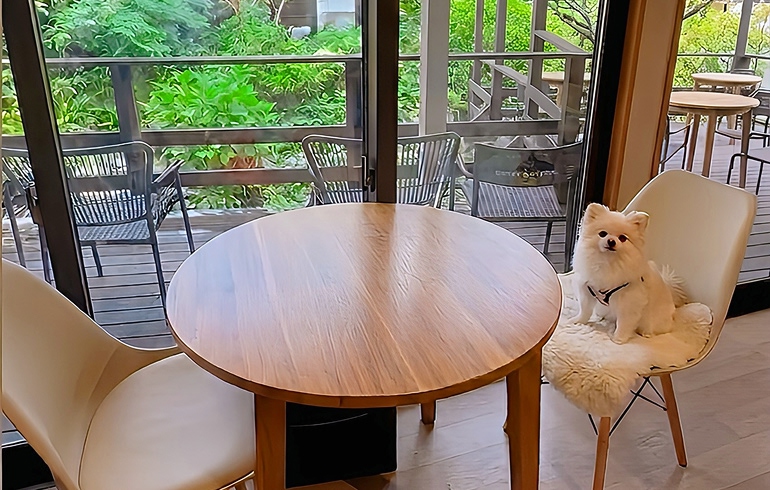 かど屋テラス 店内