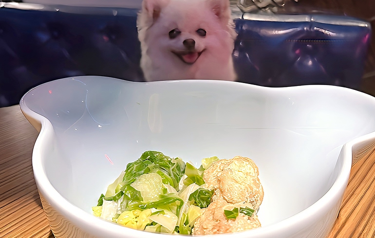 犬用メニュー
