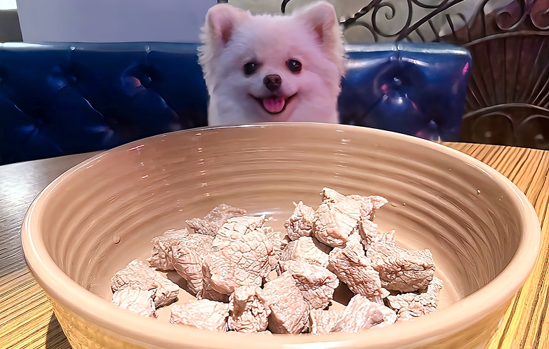 犬用メニュー