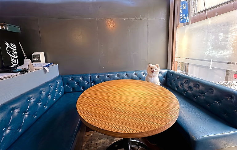 NEWシクロCafe 店内