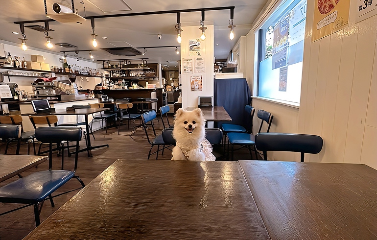 Pizzeria 244 店内・テラス席