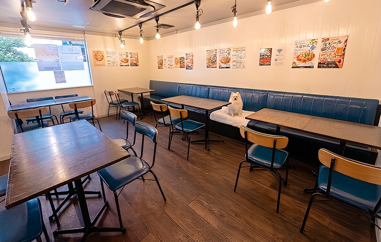 Pizzeria 244 店内・テラス席