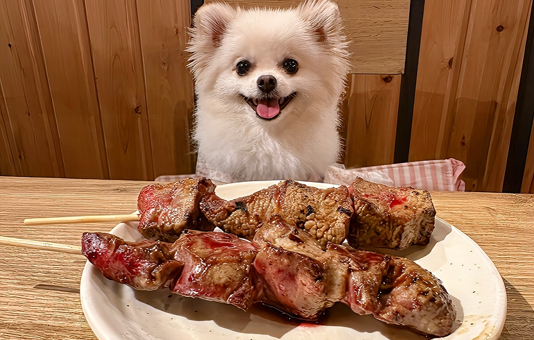 犬用メニュー