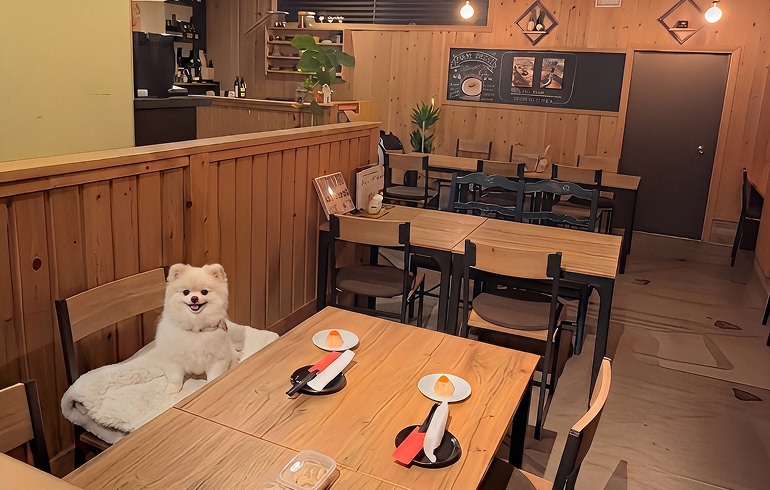 酒肴とんかもん 店内