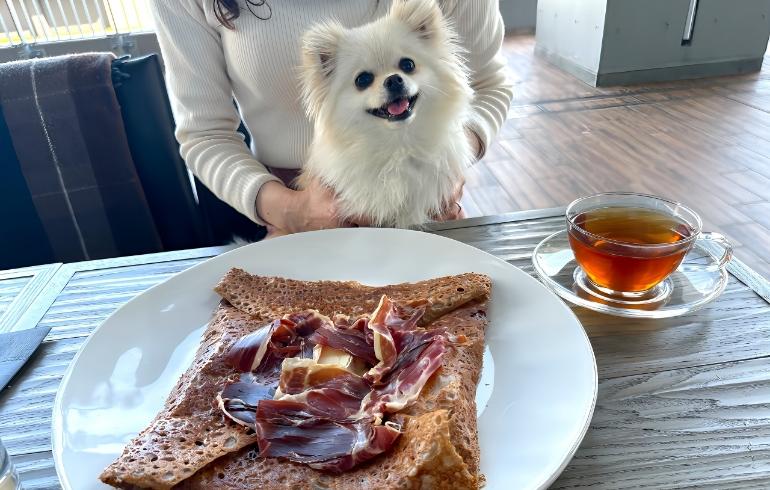 看板犬ゆめの写真 5枚目