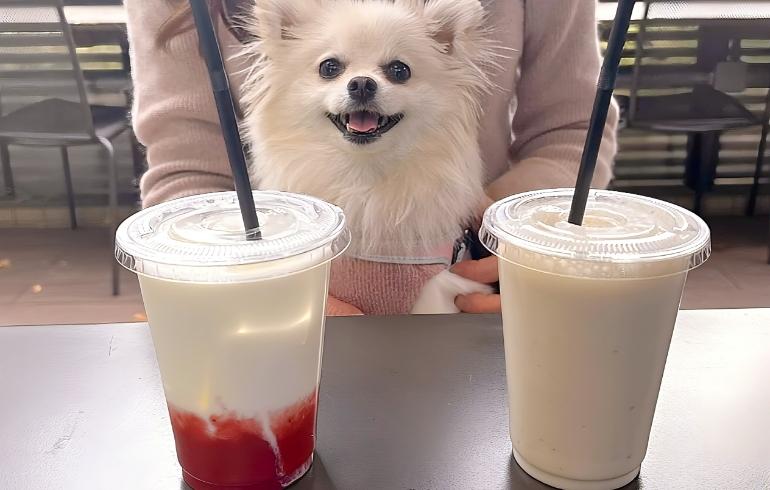 ドリンク各種とゆめちゃん ドリンク各種とゆめちゃん