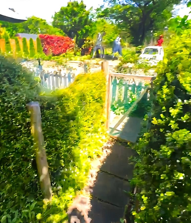 庭4