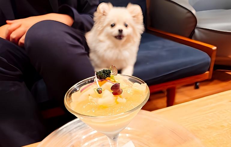 ゆめと新玉ねぎのブランマンジェ