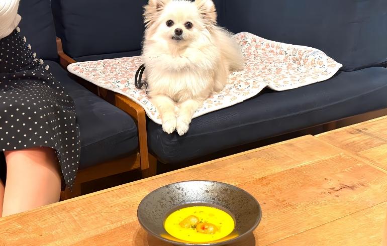 ゆめと季節のポタージュ