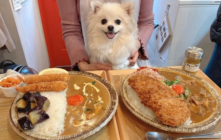 カレーだしっ！