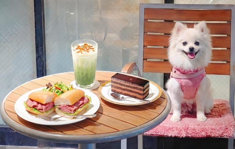 「ドトールコーヒーショップ 新丸子東口店」のメイン画像です。