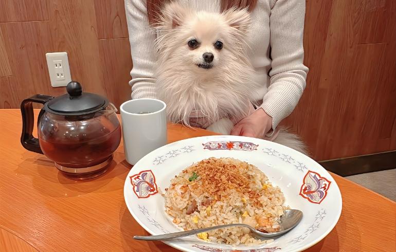 梅林閣の写真（料理）6枚目