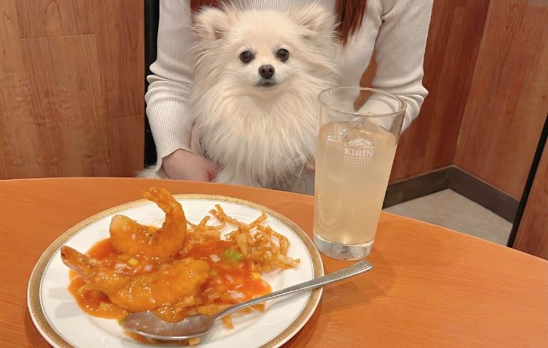 大エビのチリソース