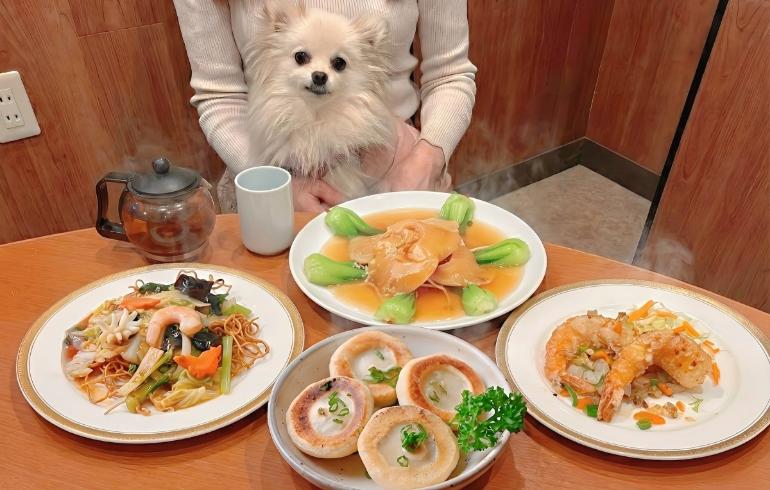 広東・上海料理の奥深い味わいを堪能できる中華料理各種
