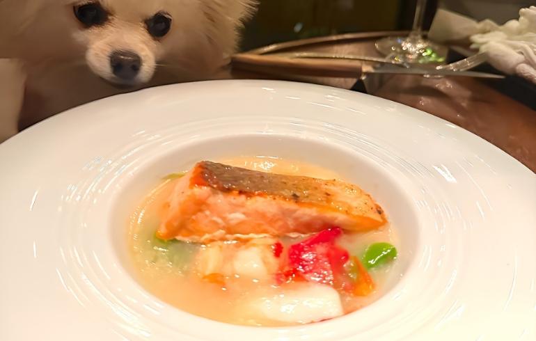 メイン・本日の魚・季節の野菜&シーフードアヒージョスタイル メイン・本日の魚・季節の野菜&シーフードアヒージョスタイル
