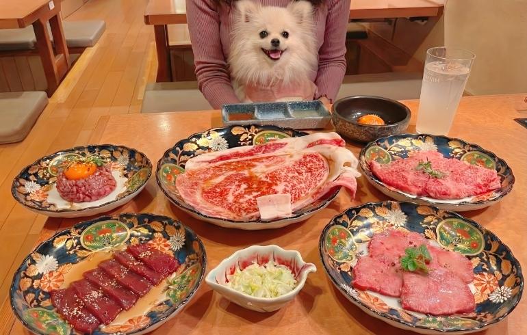 焼肉 肉Q