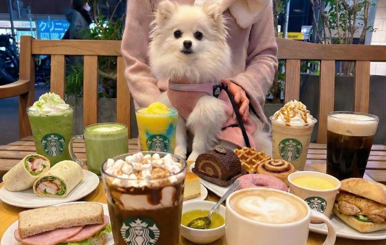「スターバックス コーヒー 鎌倉店」のメイン画像です。