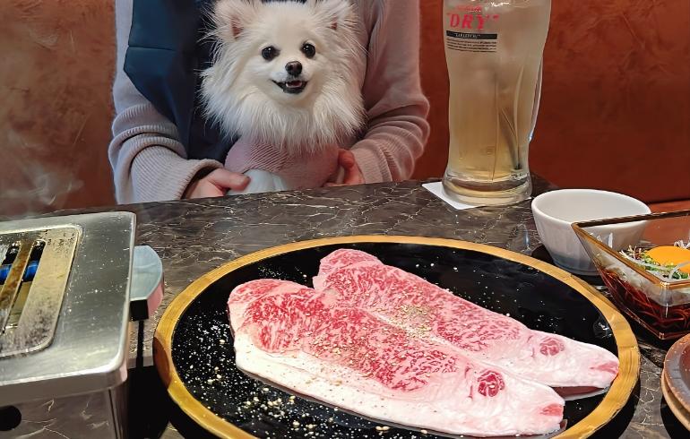 焼肉JUMPの写真（料理）5枚目