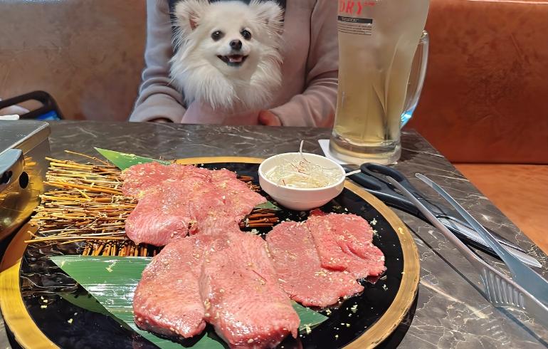 タン盛り合わせとゆめちゃん