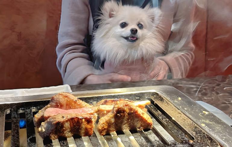 厚切り上タン（焼き中）とゆめちゃん