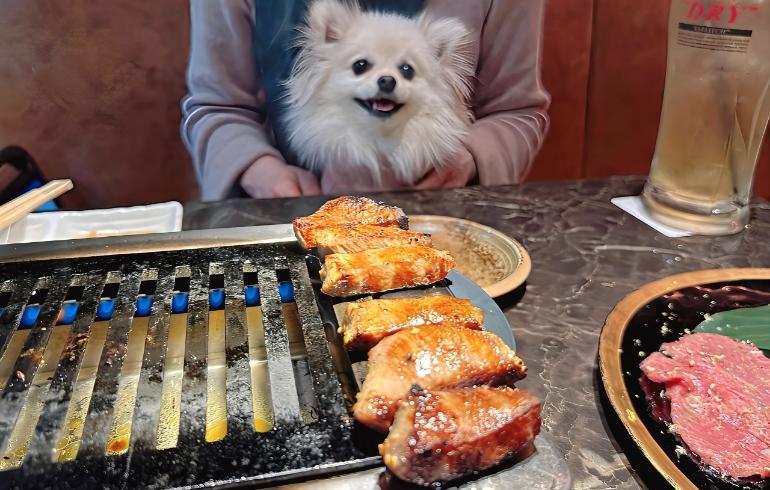 厚切り上タン（焼き後）とゆめちゃん