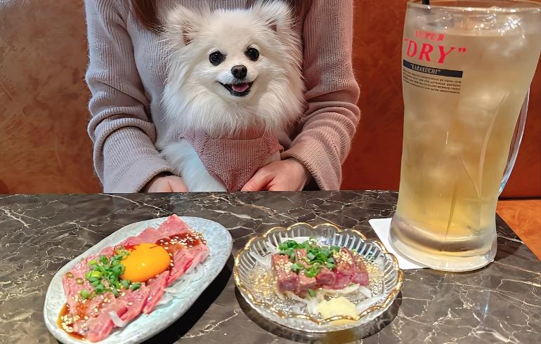 ハラミ刺しと炙りユッケとゆめちゃん