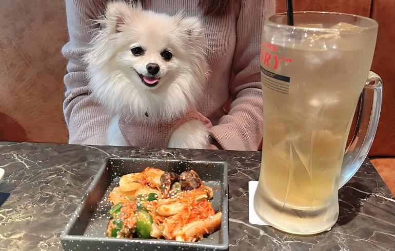 キムチの盛り合わせとゆめちゃん