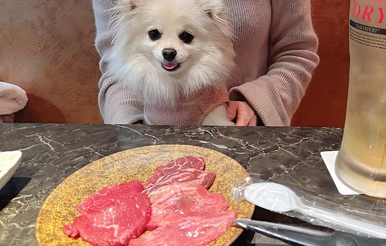 焼肉JUMP の写真 20