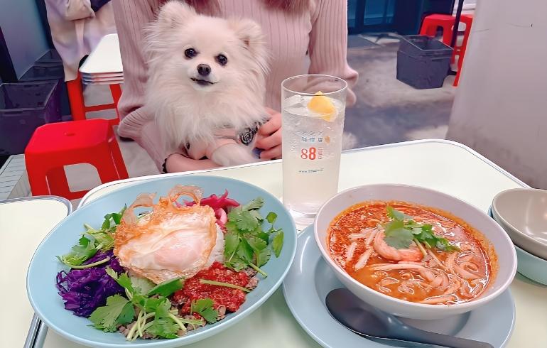「８８亞細亞 二子玉川店（ハチハチアジア）」のメイン画像です。