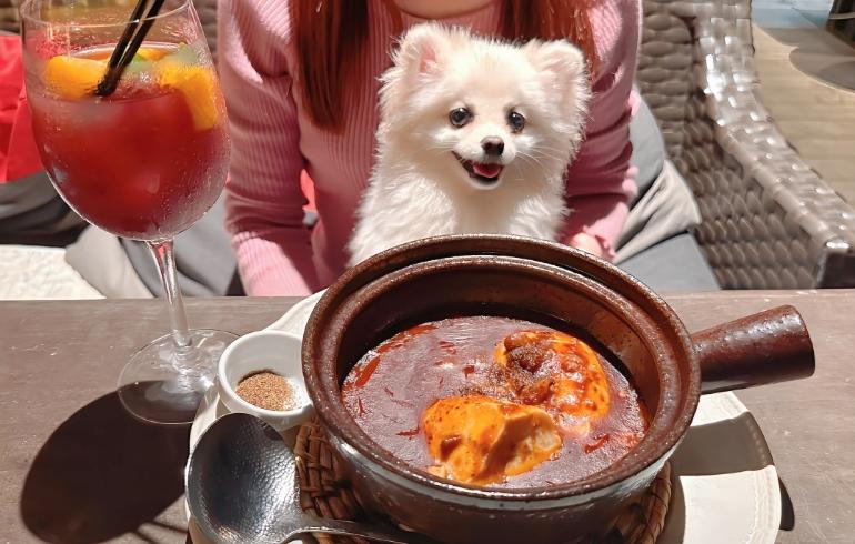 痺れ麻婆豆腐とゆめちゃん