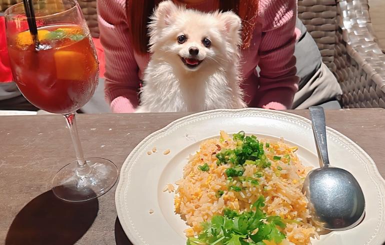 ズワイ蟹のチャーハンとゆめちゃん