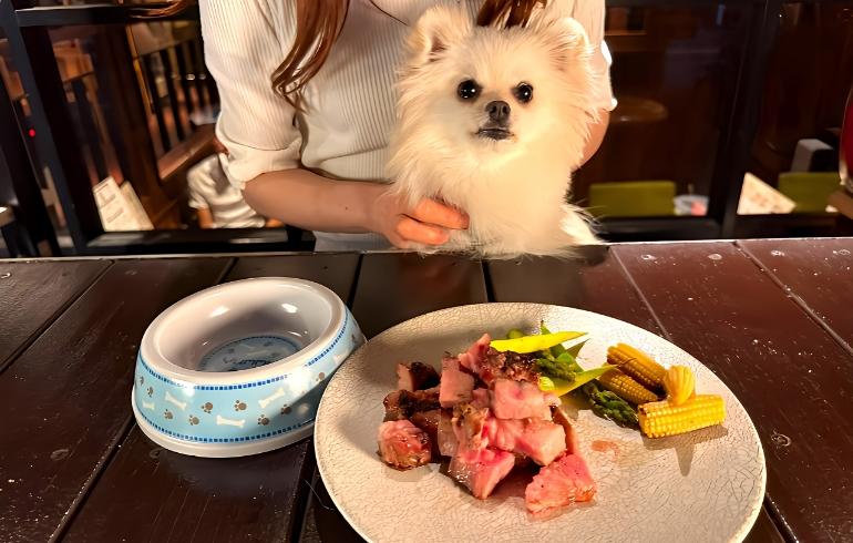わんちゃん用のご飯 わんちゃん用のご飯