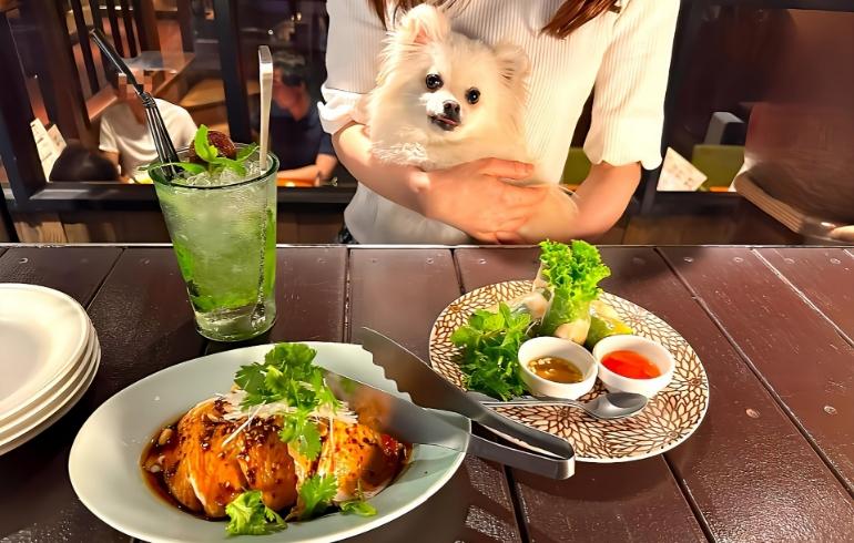 アジアンビストロDai 駒沢店 - 写真 2