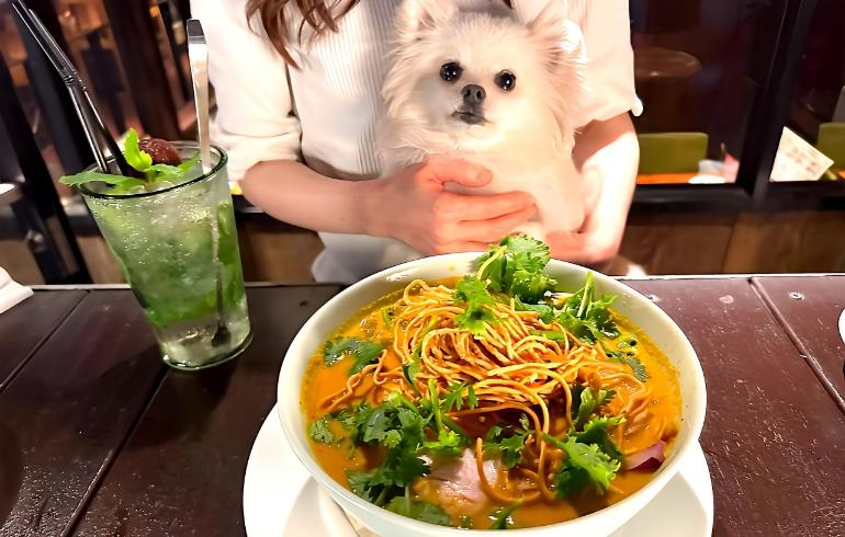 アジアンビストロDai 駒沢店 - 写真 4