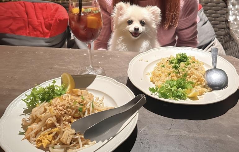「アジアンビストロDai 二子玉川店」のメイン画像です。