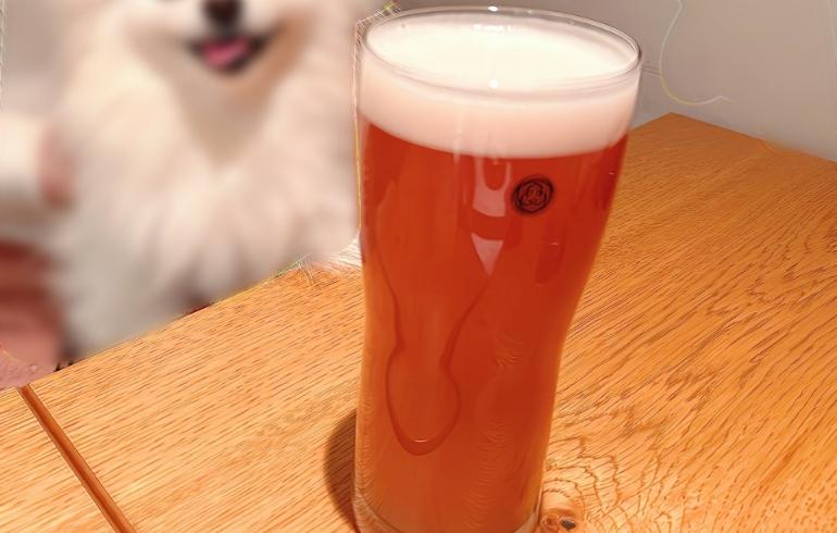 ビール ビール