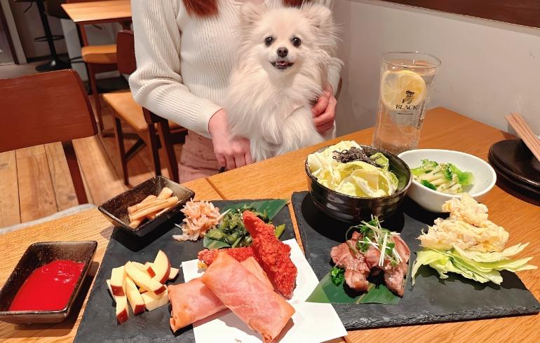 おつまみ各種とゆめちゃん おつまみ各種とゆめちゃん