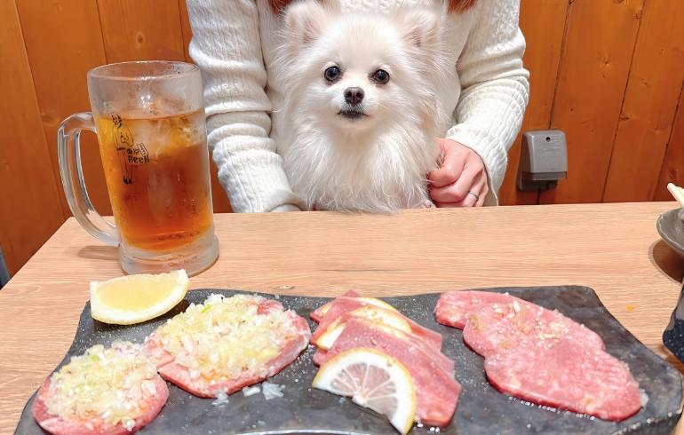 BeeNさんのタン比べ盛り合わせとゆめちゃん