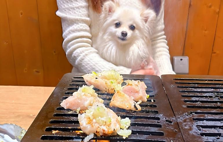 希少ネギしびれ（焼き中）とゆめちゃん