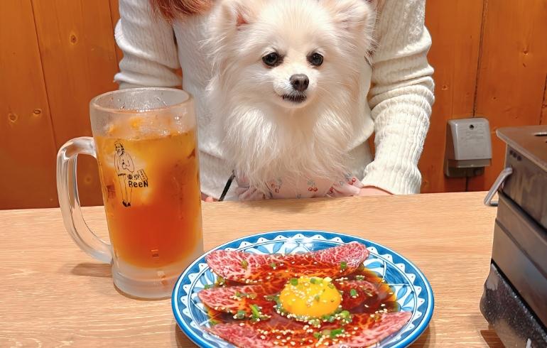 熟成タン刺しとゆめちゃん
