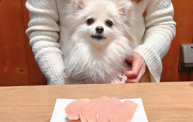 蒲田焼肉 東京Been 立川店の写真（ワンちゃんサービス）4枚目