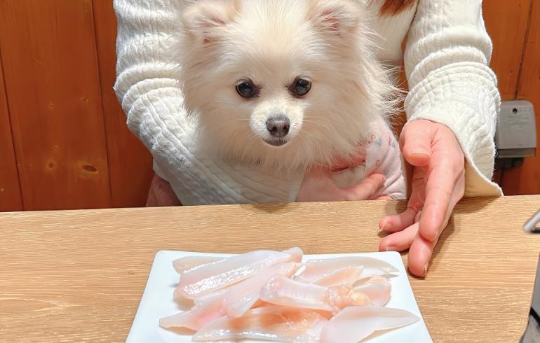 蒲田焼肉 東京Been 立川店の写真（ワンちゃんサービス）8枚目