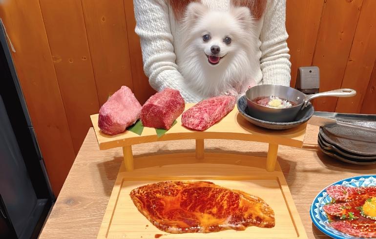 「蒲田焼肉 東京Been 立川店」のメイン画像です。