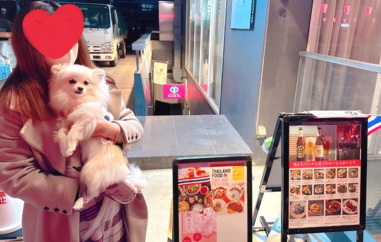 Butterfly Pea 中目黒店（バタフライピー） - 写真 3